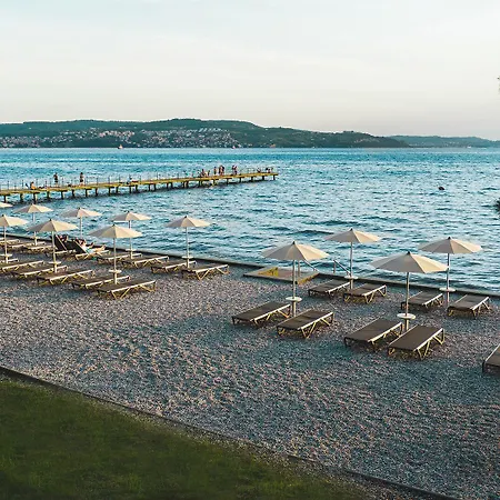 Cedra - & Adria أنكاران