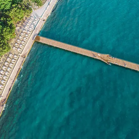 Cedra - & Adria 4* أنكاران