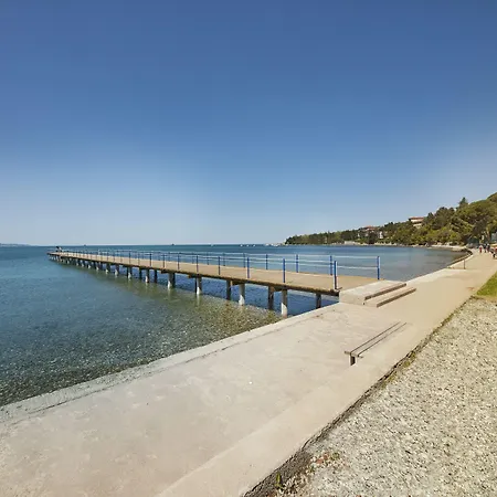 Отель Cedra - & Adria 4*