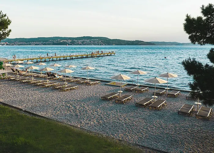 Cedra - & Adria Ancarano