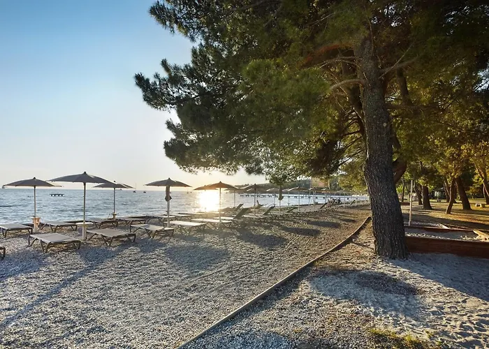 Cedra - & Adria Hotel